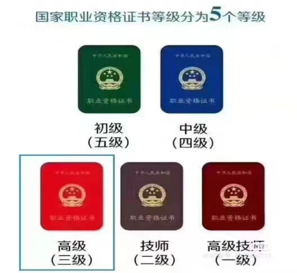 1726044084541.jpg